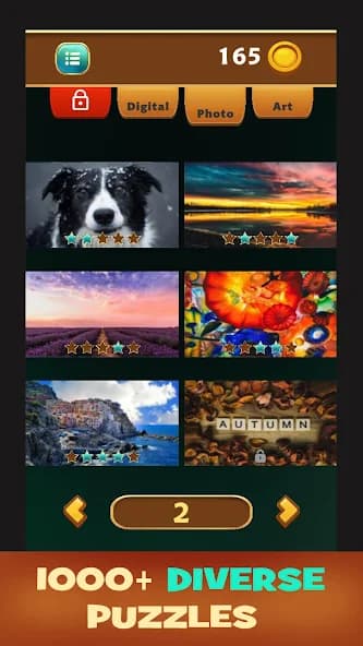 Jigsaw Artistry screenshot 6